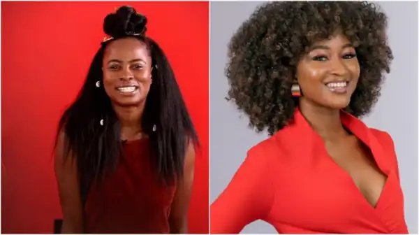 BBNaija 2019: How Nigerians voted for housemates